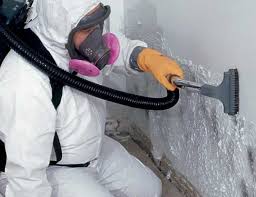 Forensic Mold Investigation in Deltona, FL